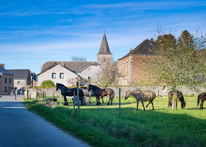 Au Ny Des Hirondelles A 10Min De Durbuy